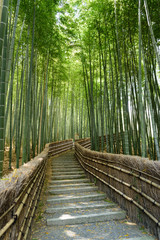Naklejka na meble 京都嵐山　念仏寺の竹林