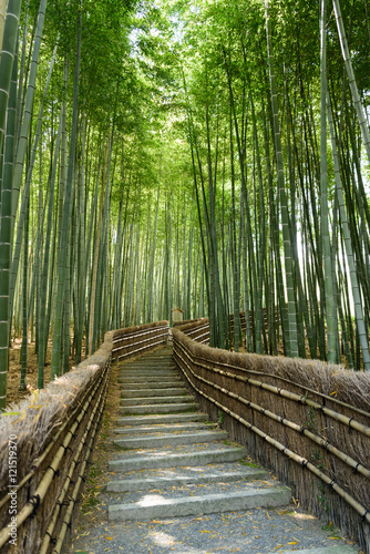 bambusowy-gaj-arashiyama-nenbutsuji-swiatynia-w-kyoto