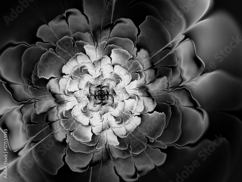czarno-biala-kwiatowa-abstrakcyjna-grafika