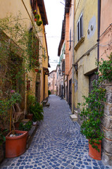  Trevignano Romano (Italy) - A nice medieval town on Bracciano lake, province of Rome