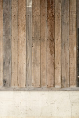 Wall Mural - Wood wall texture