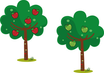 Apple Trees