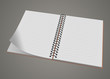 Blank realistic spiral notepad notebook isolated