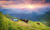 Fototapeta Konie - Horses on the mountain top