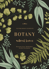 botanical illustration with leaves.