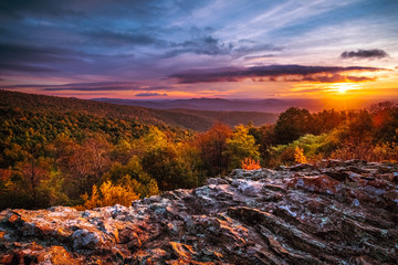 Wall Mural - A Morning Gift of Mother Nature