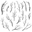 Hand drawn tree branches collection. Vector illustration.