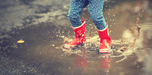 Legs Of Child In Red Rubber Boots Jumping In Autumn Puddles