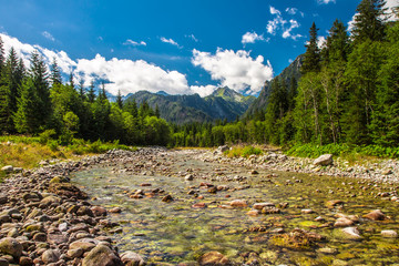 Wall Mural - Alpine valley with the river in High Tatras national park, Slovakia