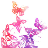 Fototapeta Motyle - Amazing background with butterflies and flowers painted with wat
