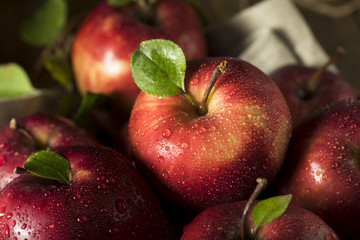 Poster - Raw Organic Red Delicious Apples