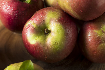 Raw Organic Red Mcintosh Apples