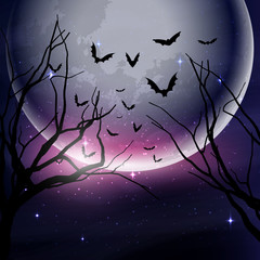 Wall Mural - halloween night sky background