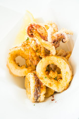 Sticker - Calamari ring