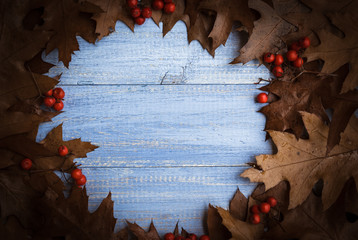 Vintage composition autumn fruit arranged circle wooden backgrou