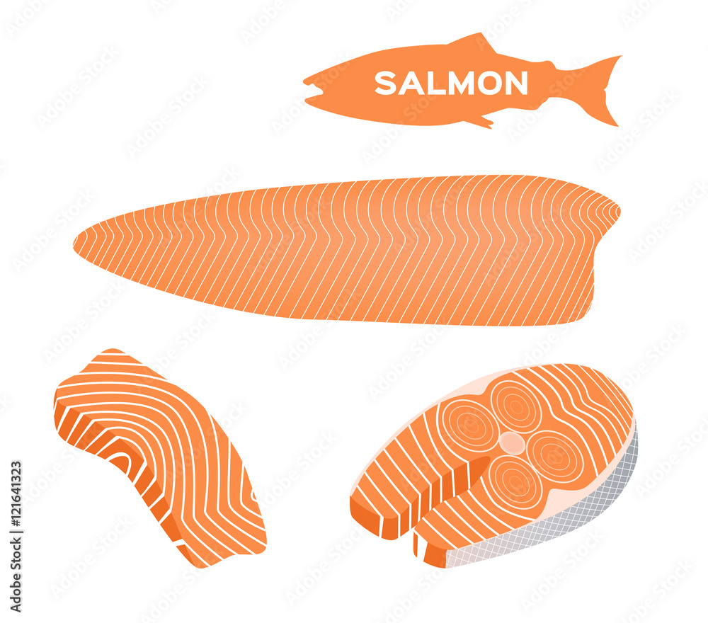 red fish salmon for sushi food menu vector illustration Isolated white ...