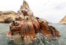 Sea Lion On Rocky Formation Islas Ballestas, Paracas