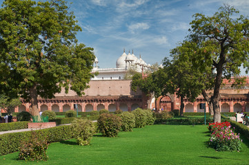 Fototapete - Red Fort  located in Agra, India.