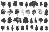 Fototapeta Lawenda - silhouettes of trees vector set