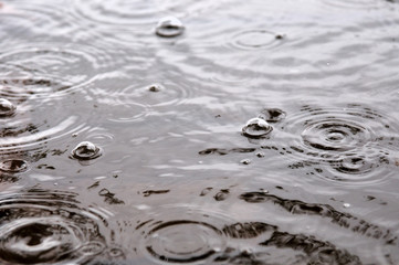 rainy day. bubbles on the water surface. photo toned