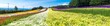 Panorama view of colorful flower field in the summer of Hokkaido, Japan