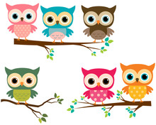 Vector Collection Of Cute Cartoon Owls And Tree Branches