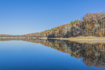 Wall Mural - Colorful mirror reflection of rusty autumn colors along a tranquil lake. 