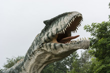 Plastic Head Dinosaur Allosaurus. 