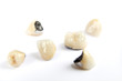 Dental ceramic tooth crowns on white background. Isolated.