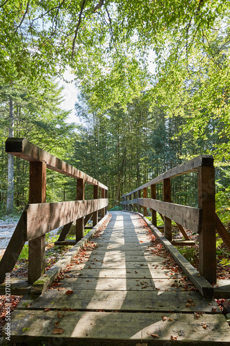 Fototapeta na wymiar Bridge at lake Offensee in Salzkammergut