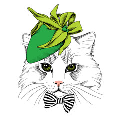 Wall Mural - Portrait of a cat in green Elegant women's hat with bow. Vector illustration.