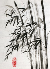 Fototapeta bambus to symbol długowieczności i dobrobytu