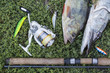 Fishing concept with spinning rod, spool, fish and lures on green grass