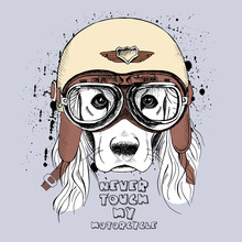 Portrait Of A Dog With Long Ears In A Retro Motorcyclist Helmet. Vector Illustration.