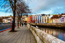Bank Of The River Lee In Cork, Ireland