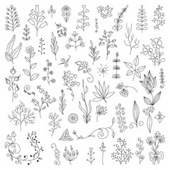 Wall Mural - hand drawn vintage floral elements