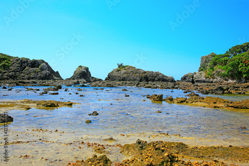 Obraz Dibond Rocky coastline at Russell Long Beach, Bay of islands. NZ