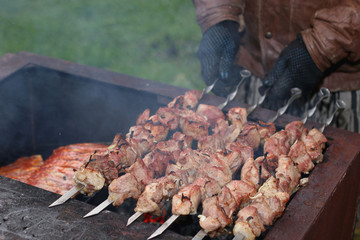 Wall Mural - meat skewers on the barbecue coals