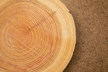Close Up Of Wooden Background Of Cut Tree Trunk