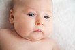 © Alena Stalmashonak - Close-Up Of Sweet Little Baby Girl Face
