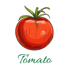 Tomato fruit vegetable icon