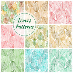 Poster - Textured stylized vector leaves patterns