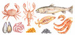 Watercolor seafood set. All kinds of sea animals as lobster, shrimp, salmon and more. Fresh and healthy food.