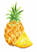 Isolated Watercolor Pineapple On White Background. Fresh Exotic Fruit With Vitamins And Sour Taste.