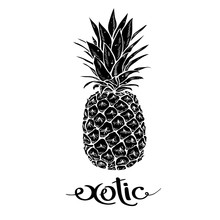 Image Of Black And White Pineapple Fruit  Lettering Exotic On  Background. Print T-shirt, Graphic Element For Your Design. Vector Illustration.