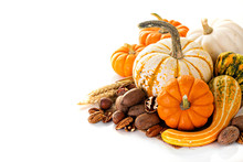 Fall Copyspace With Decorative Pumpkins