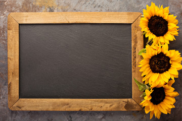 Wall Mural - Fall chalkboard frame with pumpkins