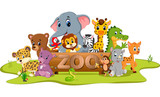  collection of zoo animals