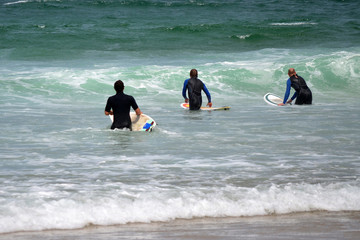 Professional Surfers