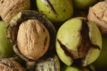 Various Walnuts - With And Without Green Shell

